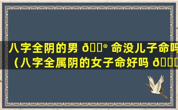 八字全阴的男 💮 命没儿子命吗（八字全属阴的女子命好吗 🐝 ）